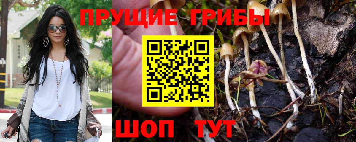 цены   Галлюциногенные грибы MAGIC MUSHROOMS  Вход с VPN  Пыть-Ях  Галлюциногенные грибы мицелий 
